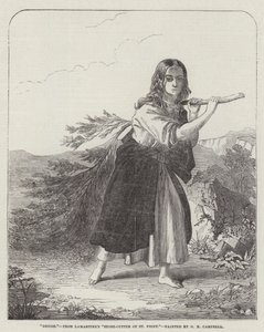 Denise de O.R. Campbell